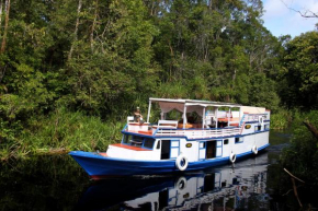 Kalimantan Explorer